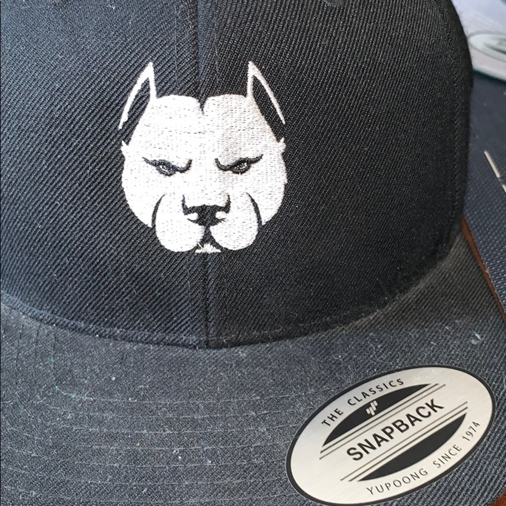 Snapback - Picture 2 of 3